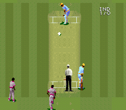Super International Cricket (Europe) (Beta) In game screenshot